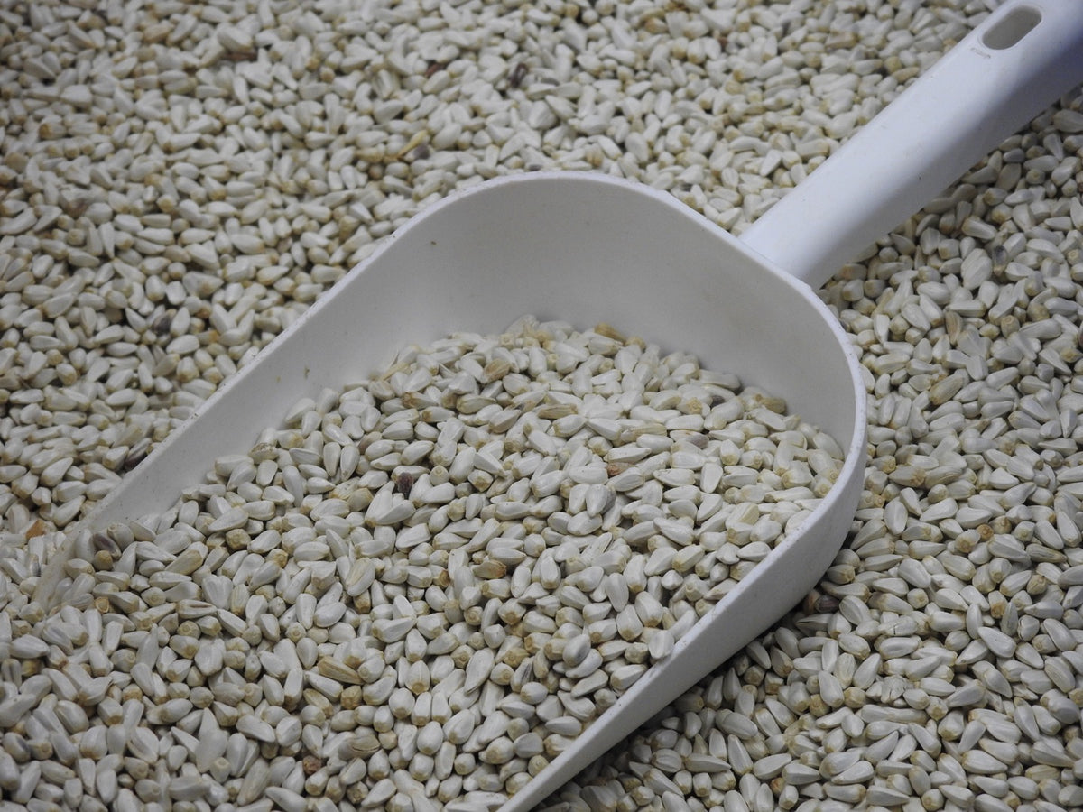 Safflower 50 lb Garcia's Feed